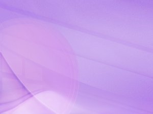 企业服务集成插件：WordPress对接教程